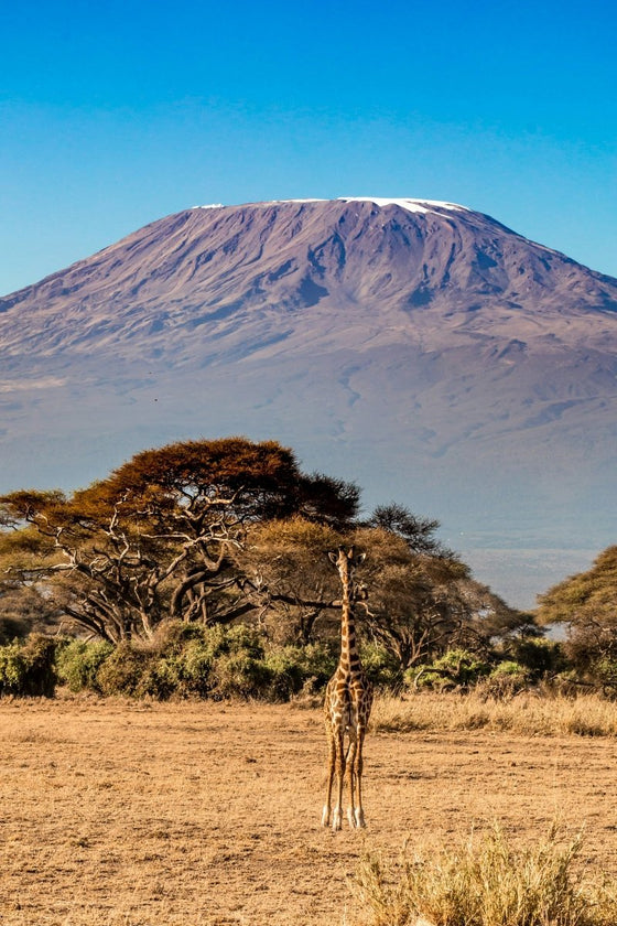 Tanzania