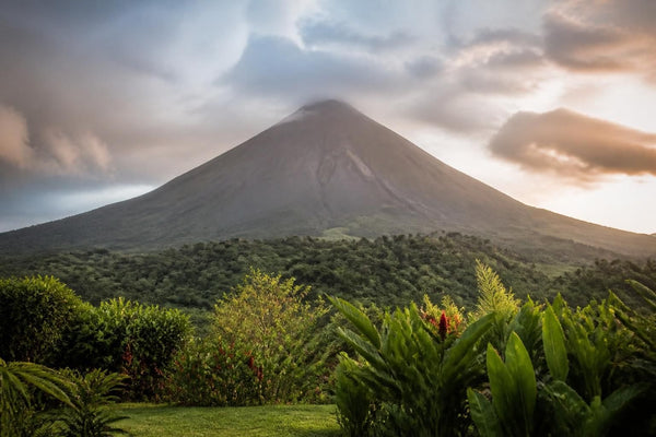 Arenal Volcano rising above green rainforest at sunrise, with mist over the treetops, Costa Rica