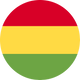 /IMG/FLAGS/BO.PNG Flag eSIM flag