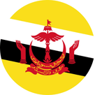 /IMG/FLAGS/BN.PNG Flag Bandiera eSIM