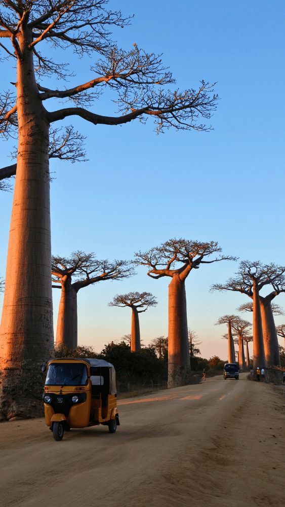Madagascar