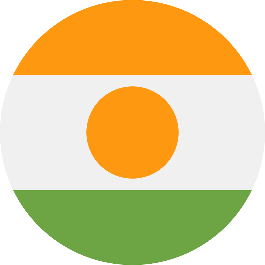 /IMG/FLAGS/NE.PNG Flag
