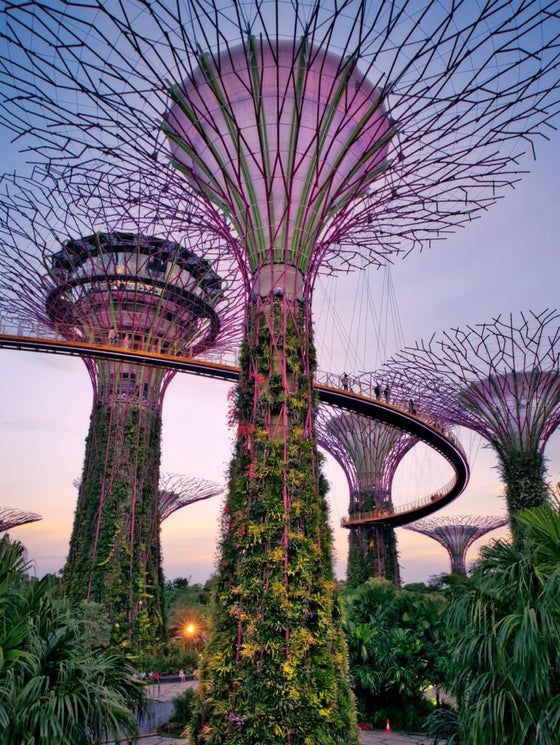 Singapore