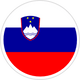 /IMG/FLAGS/SI.PNG Flag eSIM flag