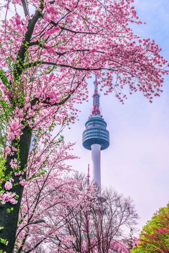 South Korea