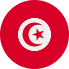 /IMG/FLAGS/TN.PNG Flag eSIM vlag